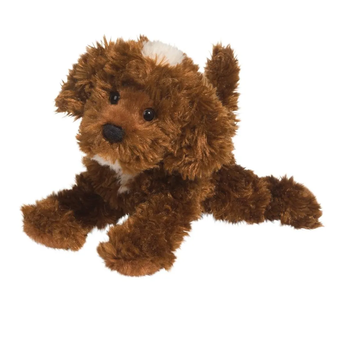 Bosco Chocolate Labradoodle