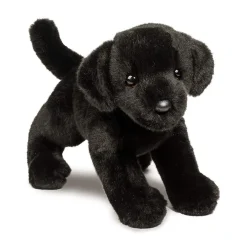 Brewster Black Lab