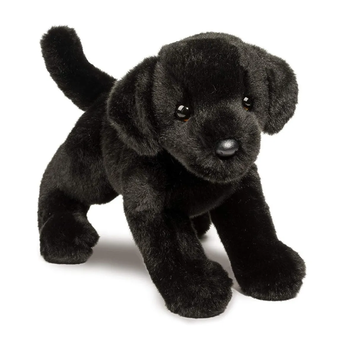 Brewster Black Lab