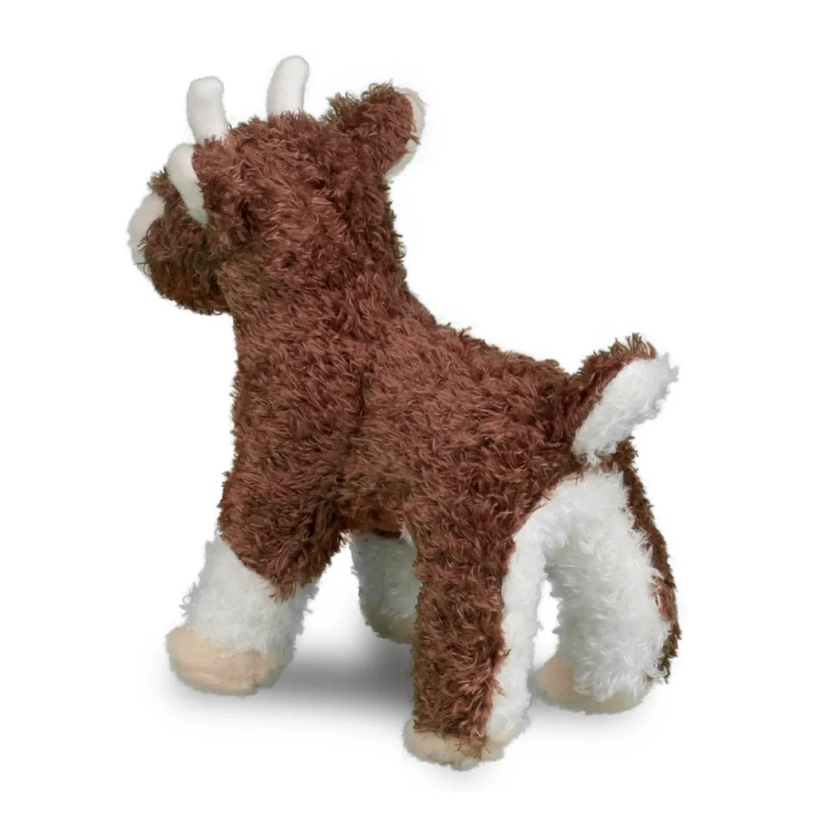 Buffy Baby Goat
