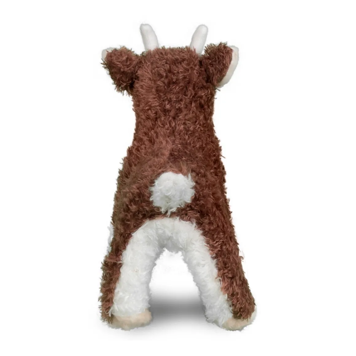 Buffy Baby Goat