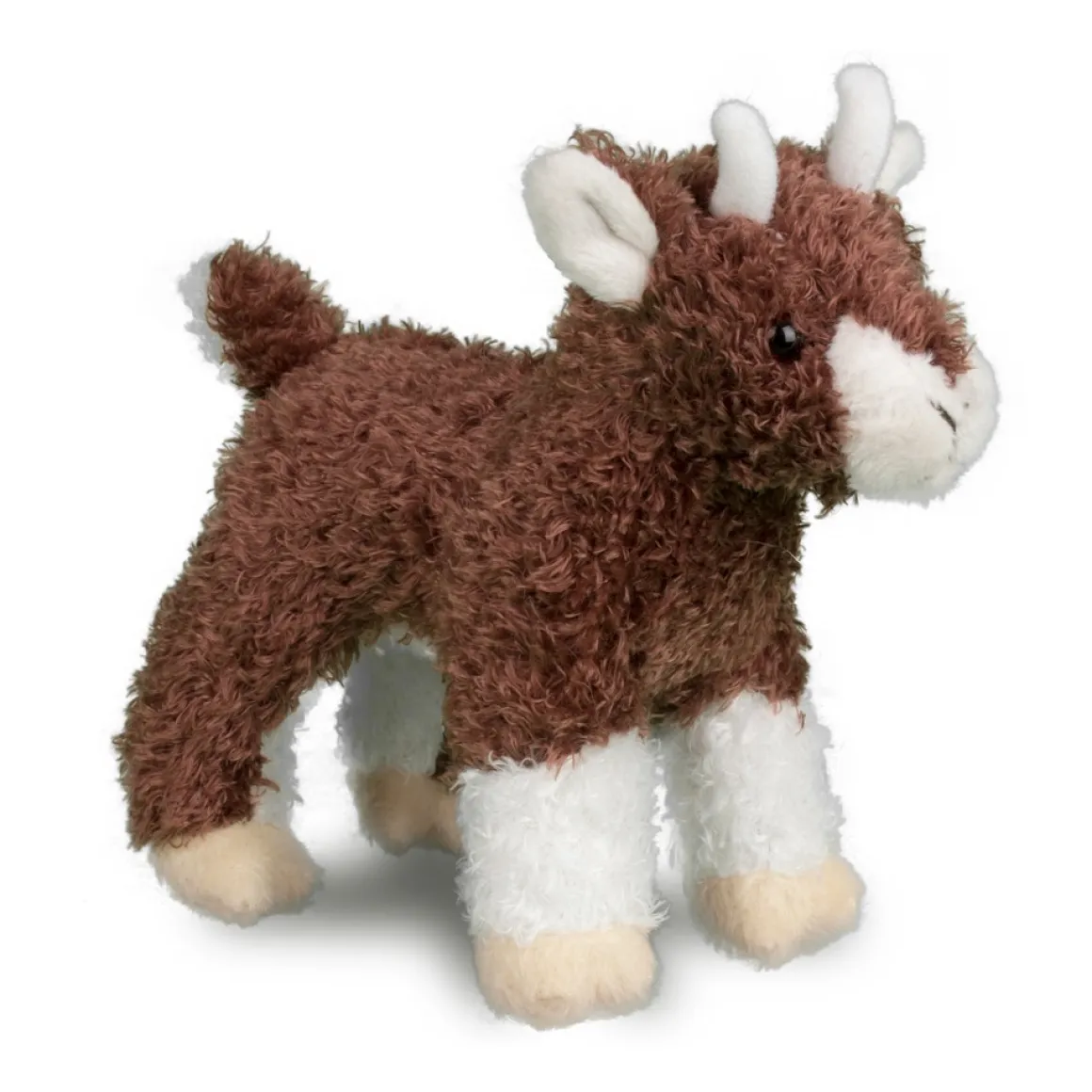 Buffy Baby Goat