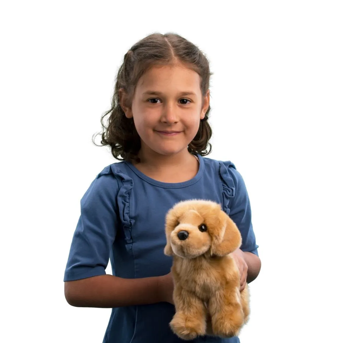 Chap Golden Retriever