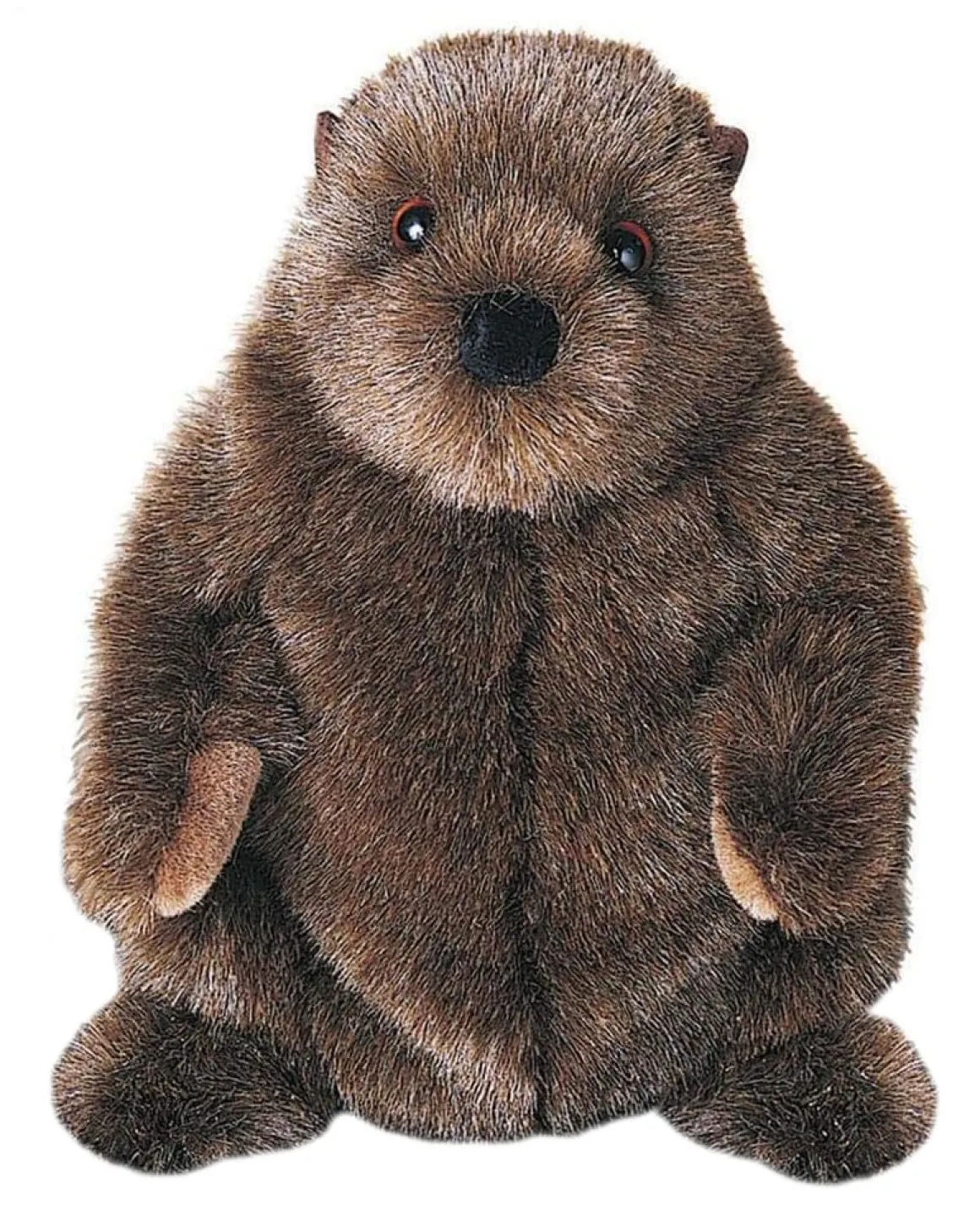 Chuckwood Groundhog