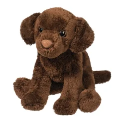 Finn Chocolate Lab