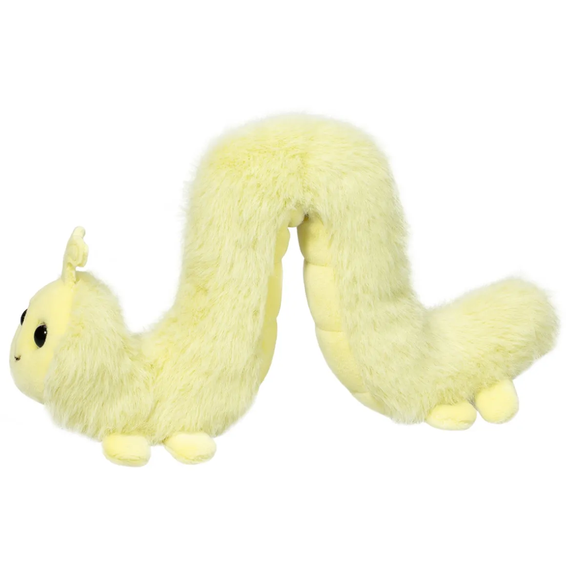 Inchy Inchworm