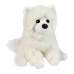 Opo White Pomeranian