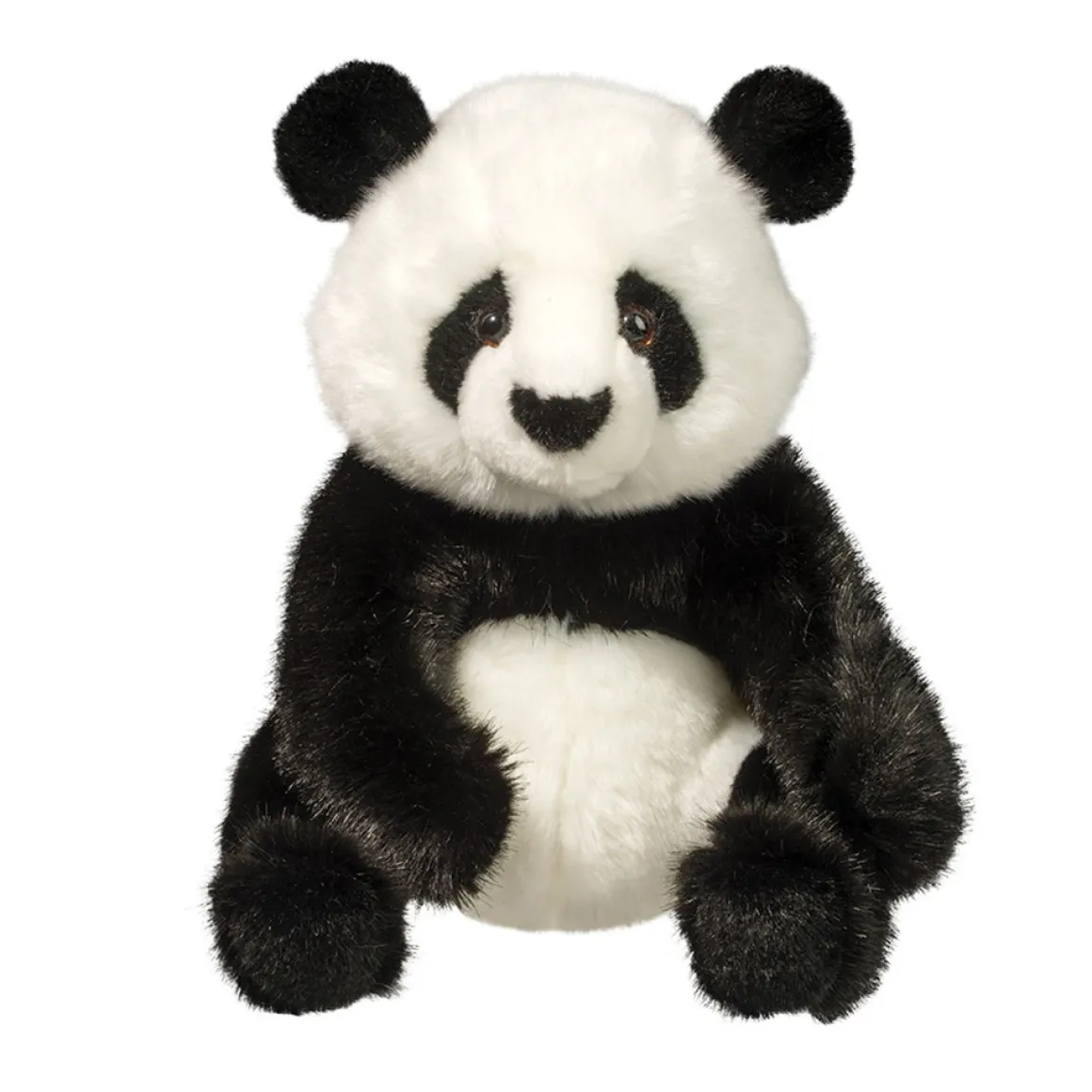 Paya Panda