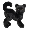 Scaredy Black Cat