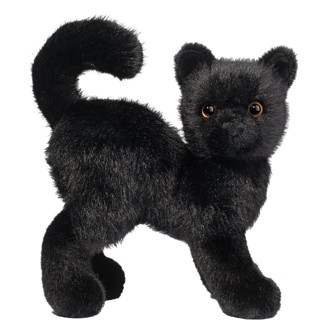 Scaredy Black Cat