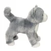 Scatter Gray Cat