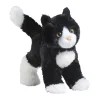 Snippy Black & White Cat