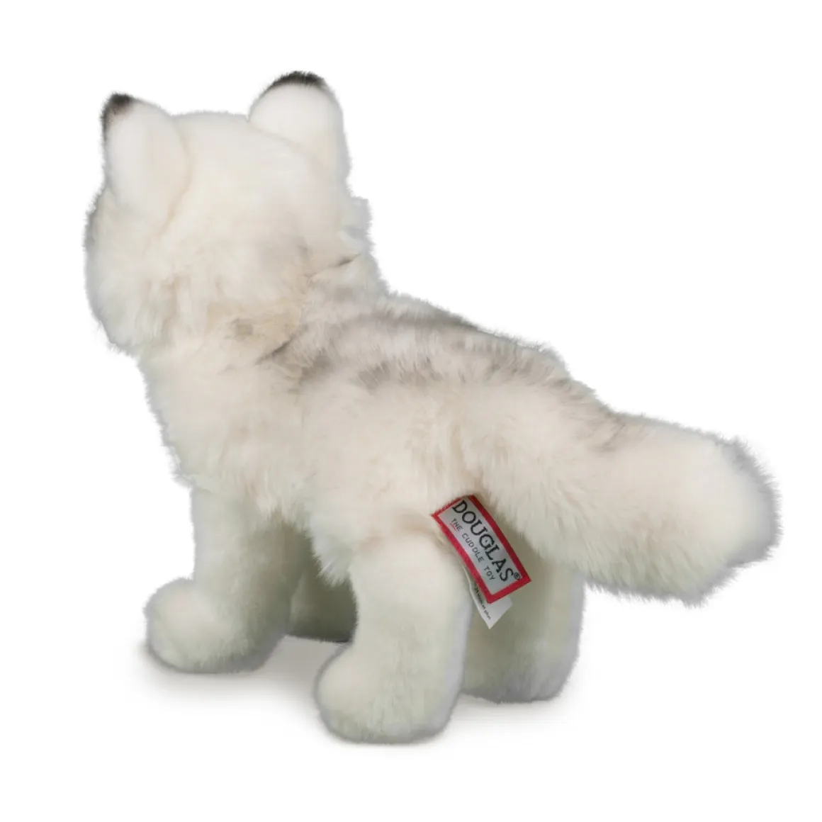 Snow Queen Arctic Fox