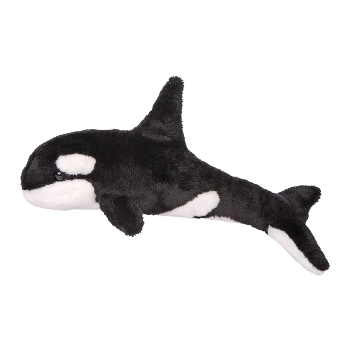Spout Orca Whale