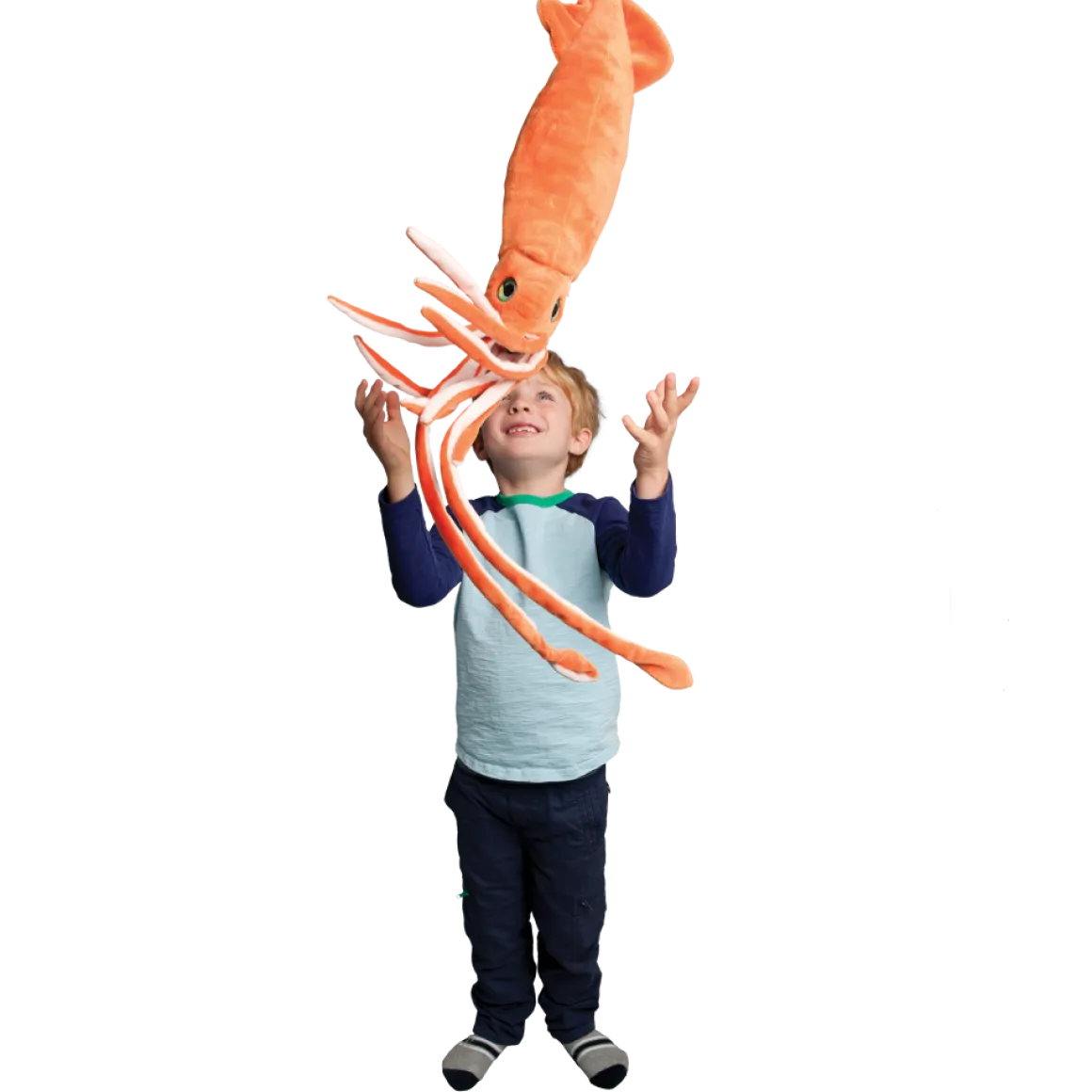 Stretch Squid