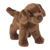 Tucker Chocolate Lab