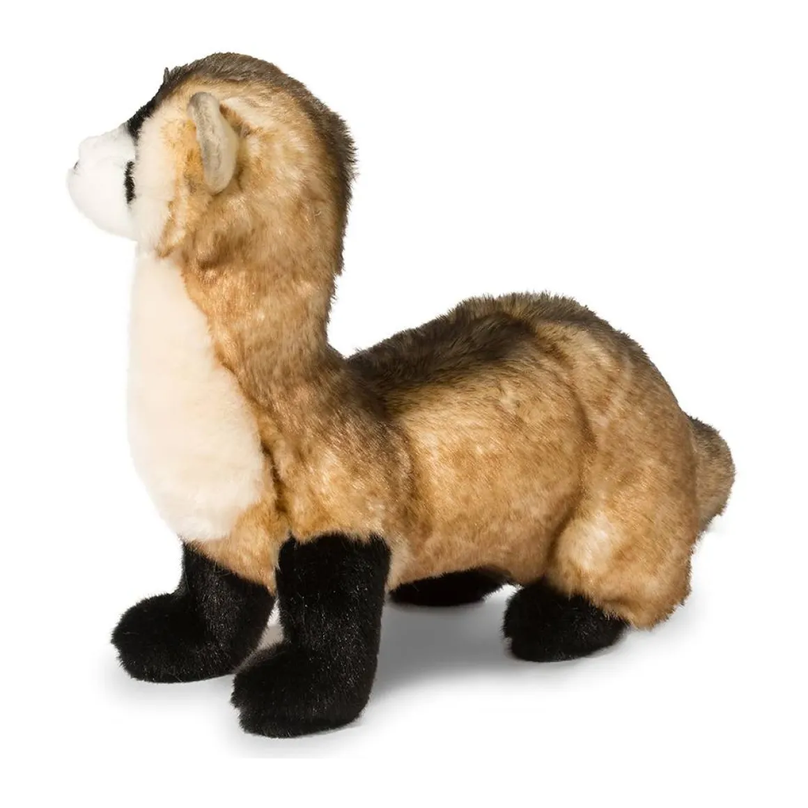 Vince Black Footed Ferret