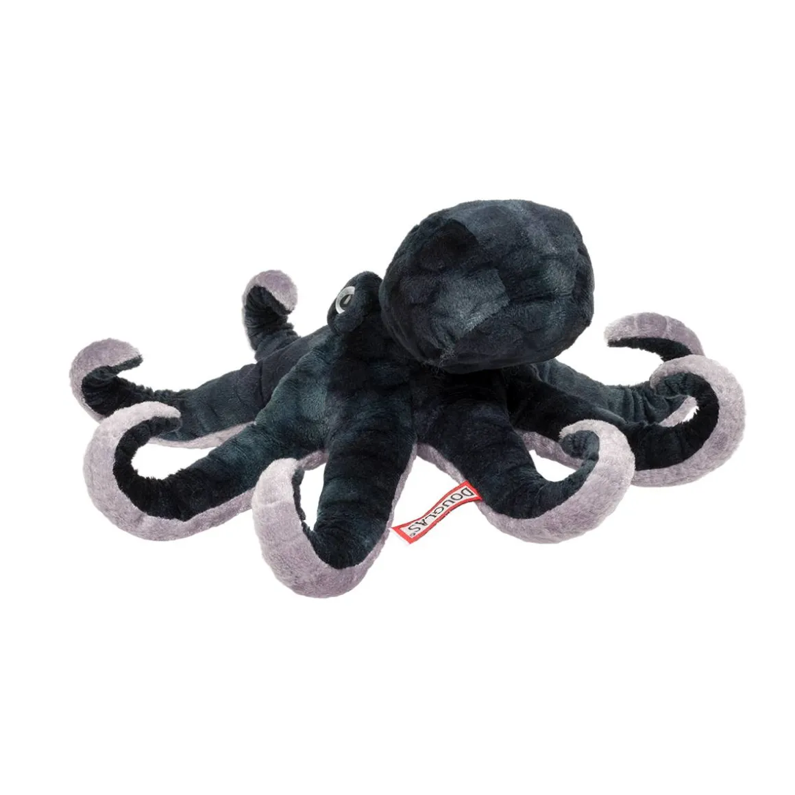 Winky Octopus