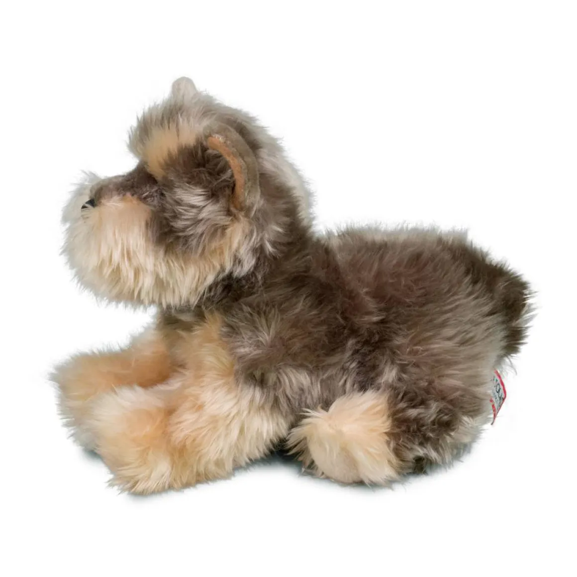 Yettie Yorkie