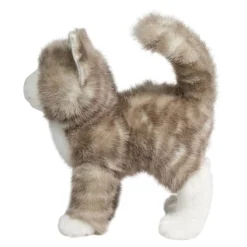 Zipper Gray Tabby Cat